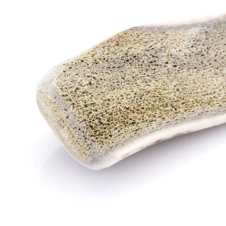 Bois de cerf pour chien tranché