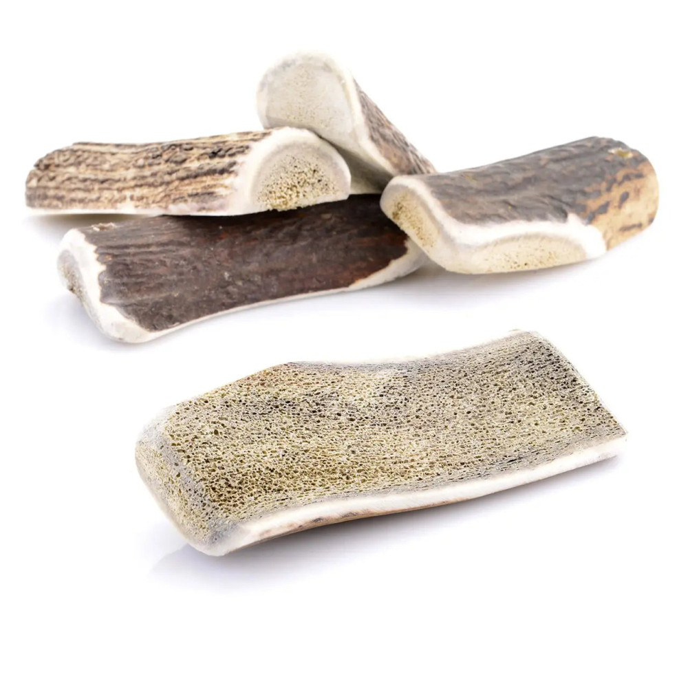 Bois de cerf pour chien tranché