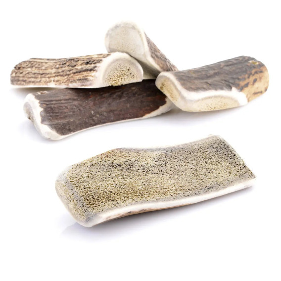 Bois de cerf pour chien tranché