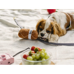 Jouet pour chien en forme de saucisson