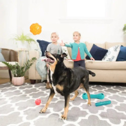 Ballon sonore rose pour chien