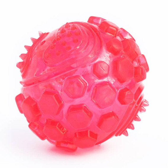 Ballon sonore rose pour chien