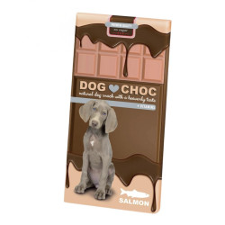 Dog choc-Saumon