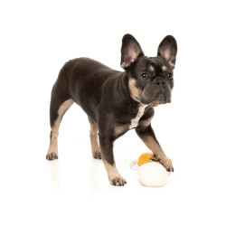 Streinz The Homies - Jouet pour chien