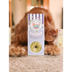 Donuts de Pâques - Friandises de Pâques pour chiens