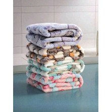 Kit chiot 25€