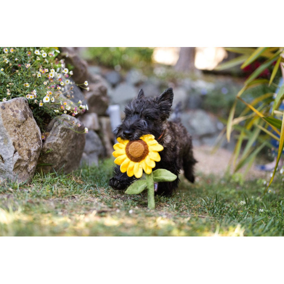 JOUER tournesol 🌻