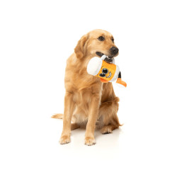 Streinz The Homies - Jouet pour chien