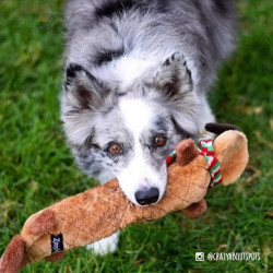 Renne - Jouet de Noël pour chien