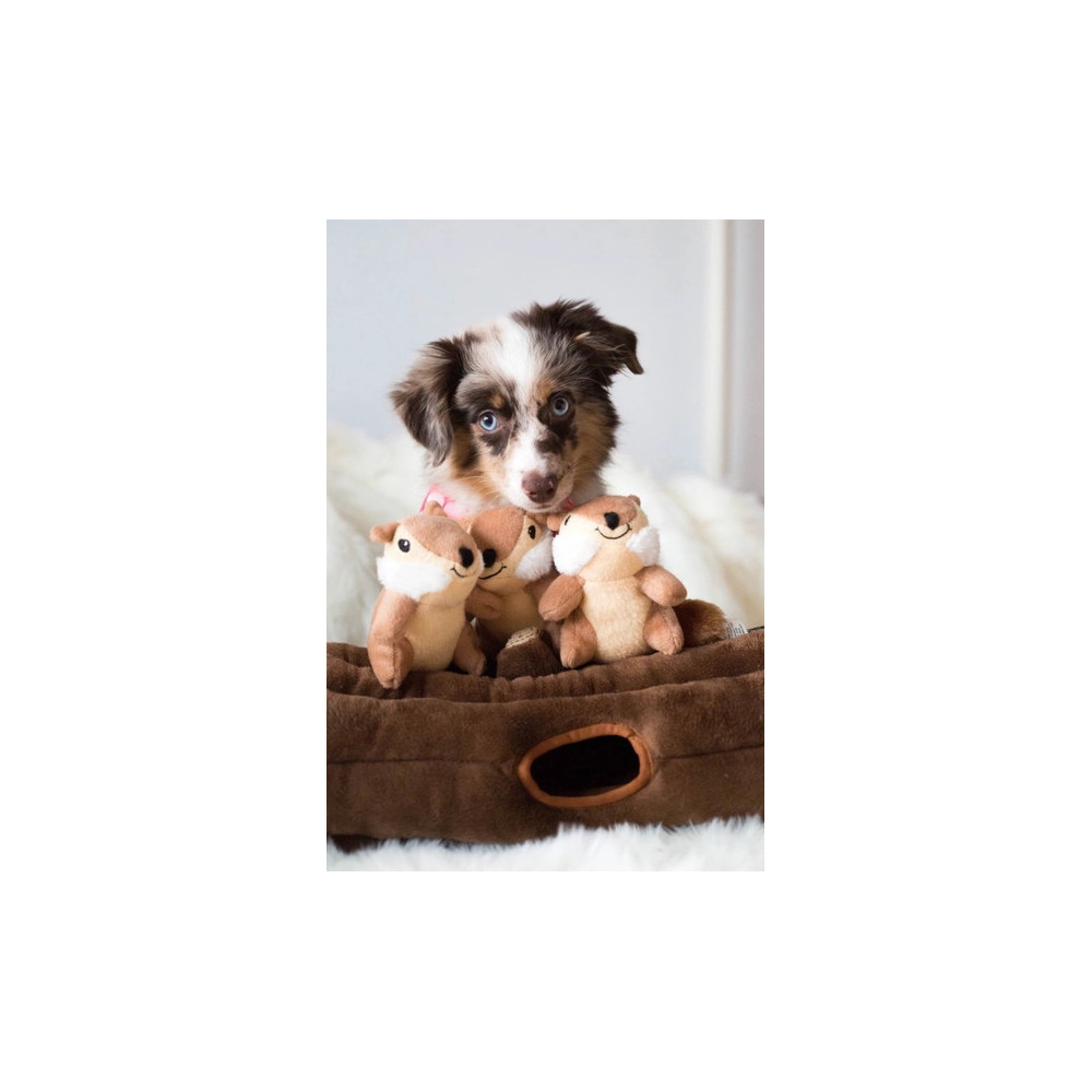 - Bûche de terrier avec 3 tamias