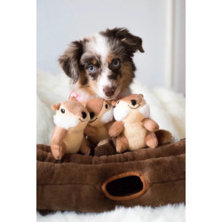 - Bûche de terrier avec 3 tamias