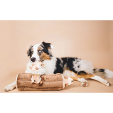 - Bûche de terrier avec 3 tamias