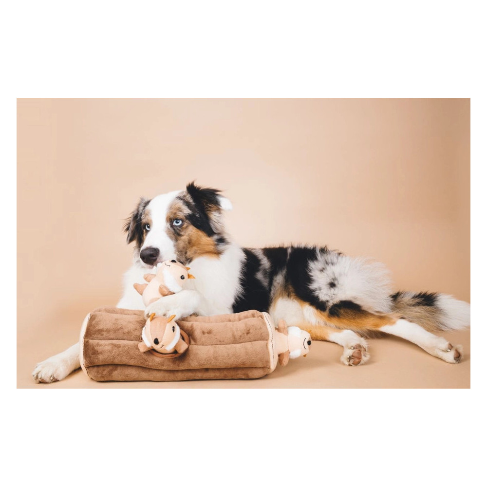 - Bûche de terrier avec 3 tamias