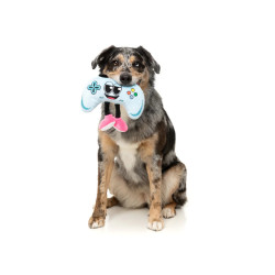 Gamezy The Homies - Jouet pour chien