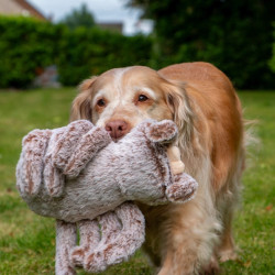 - Sid l'araignée douce pour chien