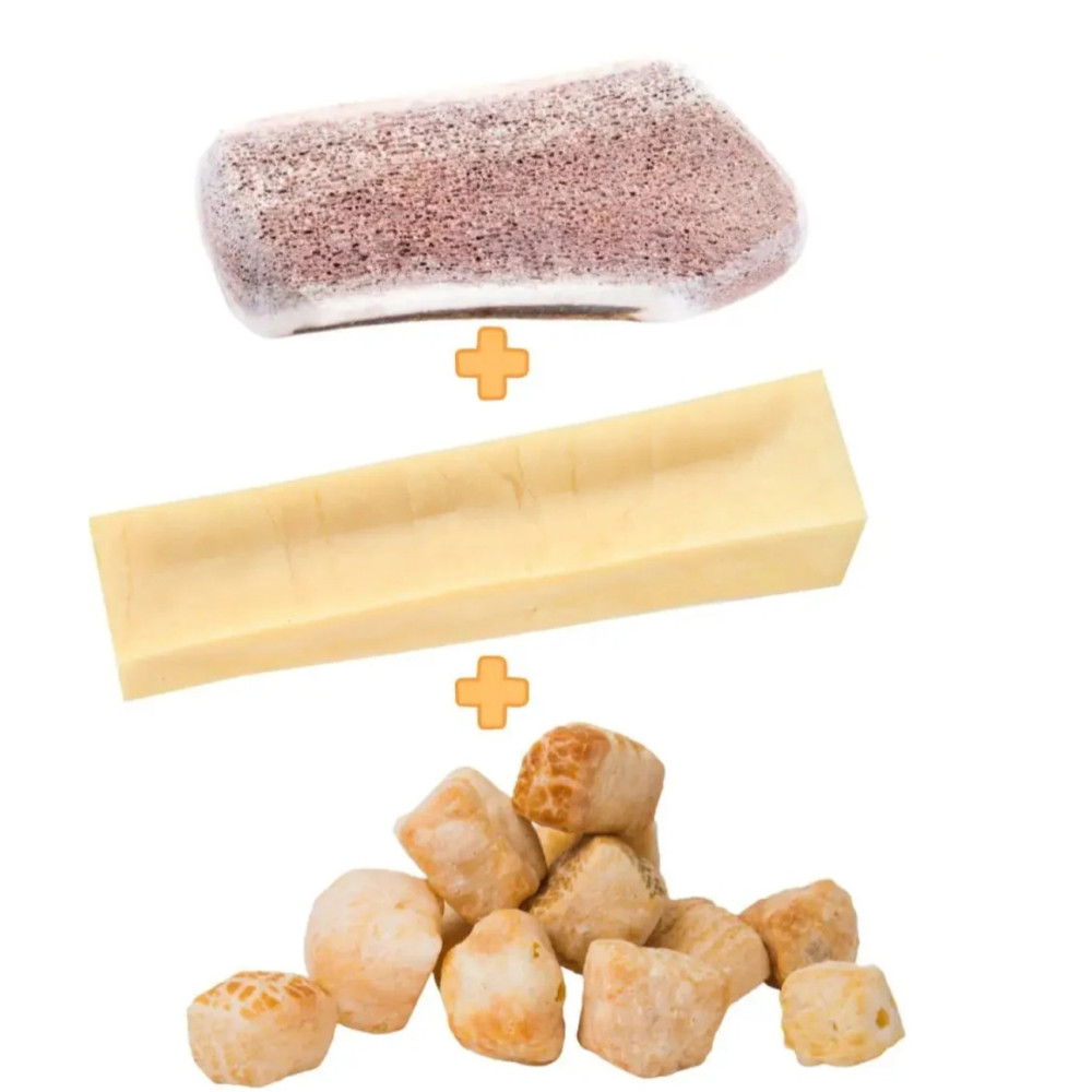 Box mastication pour chiot pack taille S