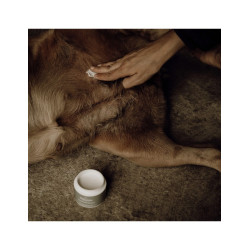 Baume peaux sensibles et cicatrisant pour chiens
