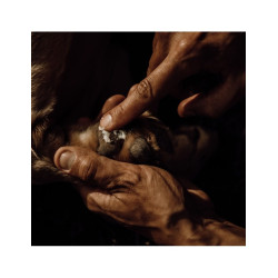 Baume soin des coussinets