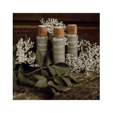 Lotion Nettoyante pour chiens